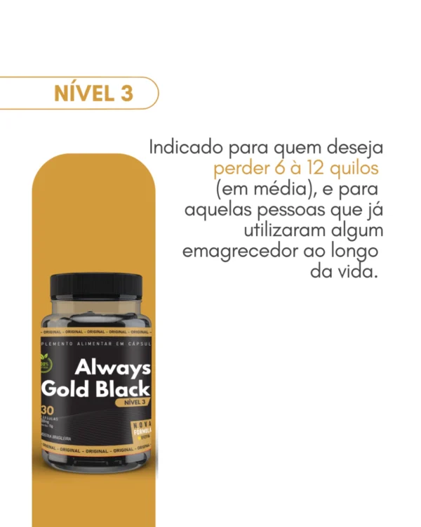 KIT 03 FRASCOS ALWAYS GOLD NÍVEL 3 - Image 3